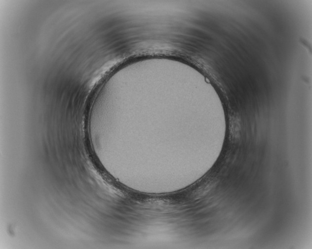 X0000098150629200805151205