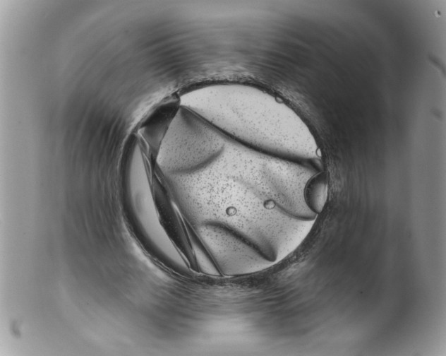 X0000098150630200805151205