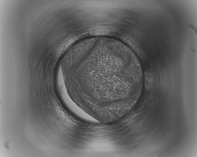X0000098150631200805151205