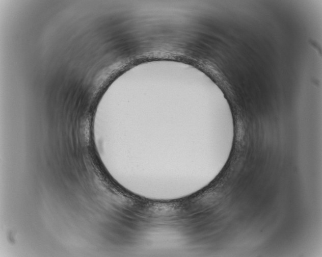 X0000098150632200805151205