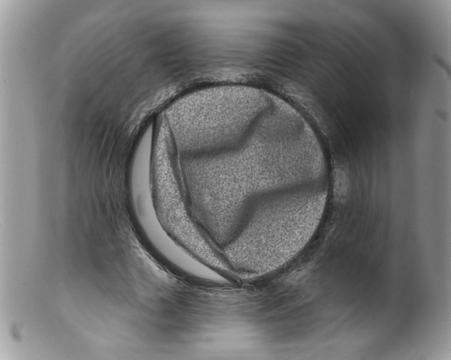 X0000098150633200805151205