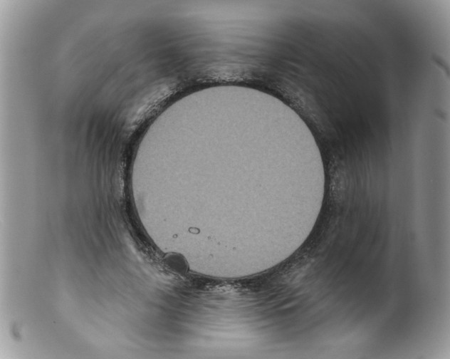 X0000098150635200805151206