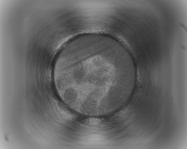 X0000098150636200805151206