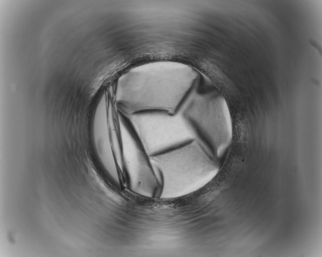 X0000098150638200805151206