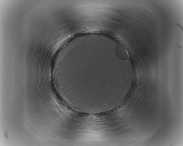 X0000098150640200805151206
