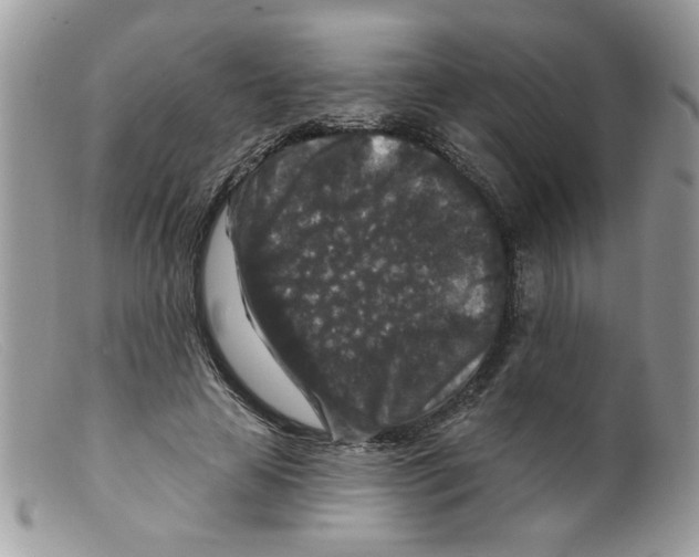 X0000098150641200805151206