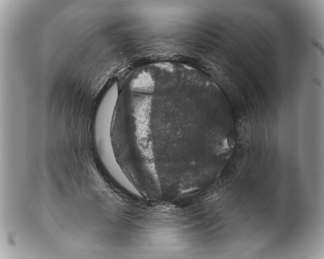 X0000098150642200805151206