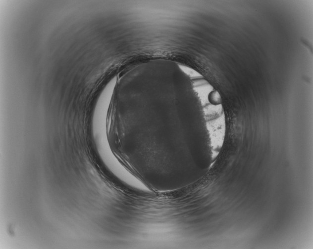 X0000098150643200805151206