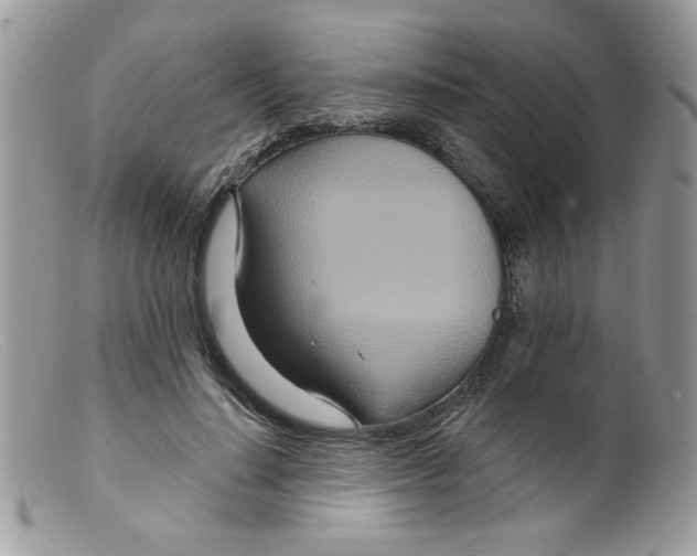 X0000098150644200805151206