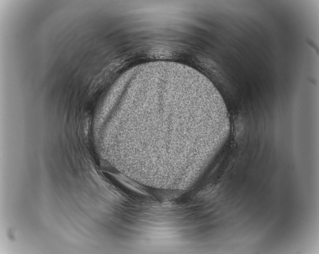 X0000098150645200805151206
