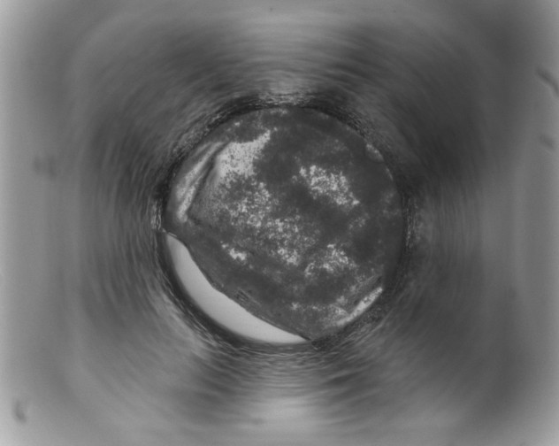 X0000098150647200805151206