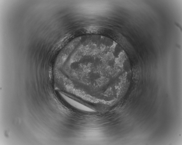 X0000098150648200805151206