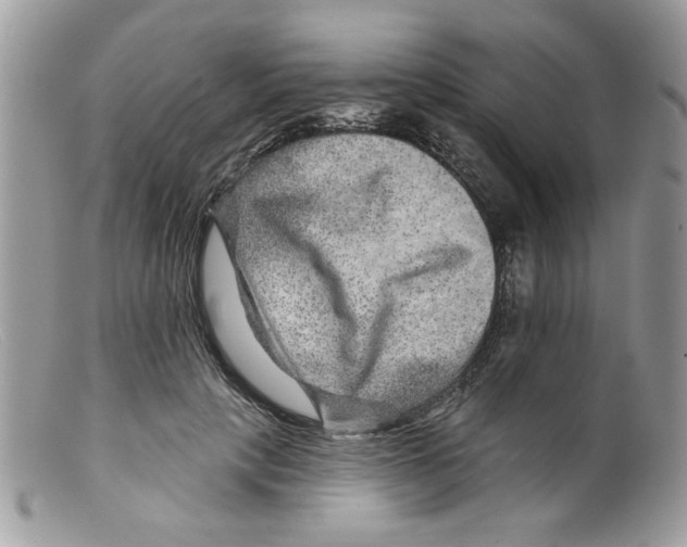 X0000098150649200805151206