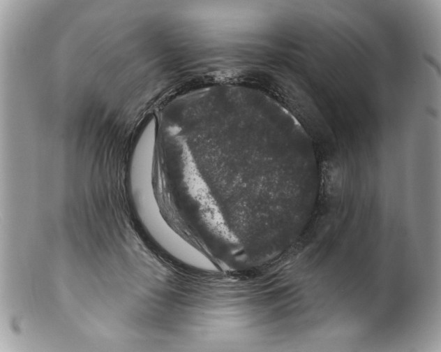 X0000098150650200805151206