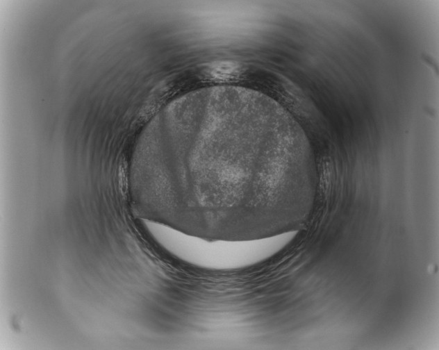 X0000098150651200805151206