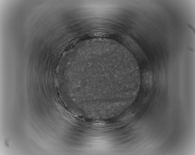 X0000098150653200805151206