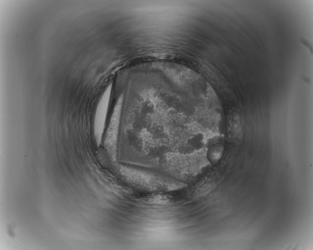 X0000098150656200805151206