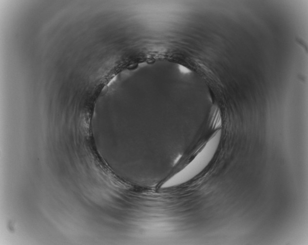 X0000098150661200805151206