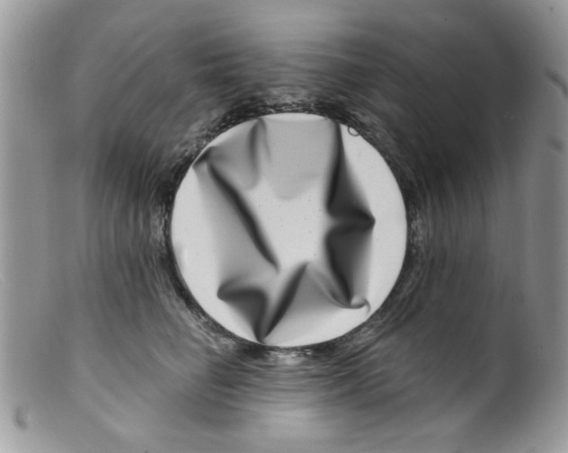 X0000098150662200805151206