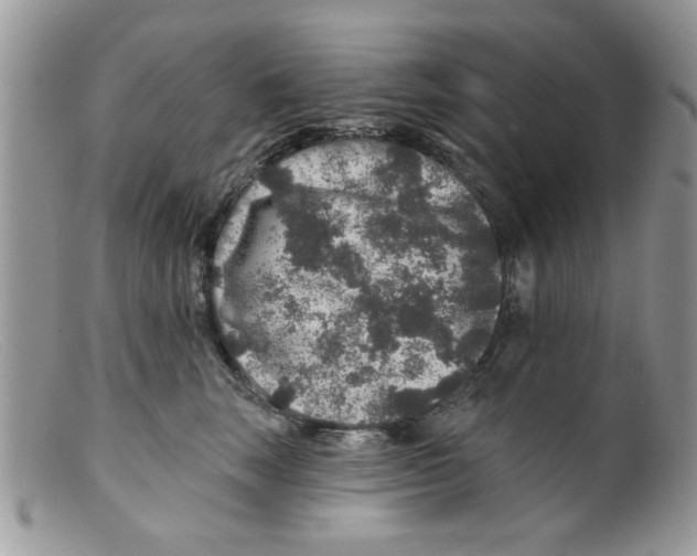 X0000098150663200805151206