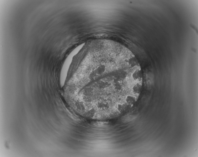 X0000098150664200805151206
