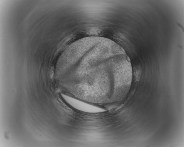 X0000098150665200805151206