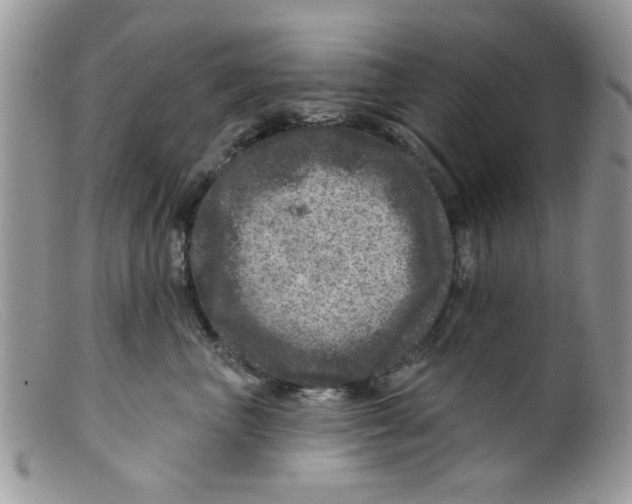 X0000098150667200805151206