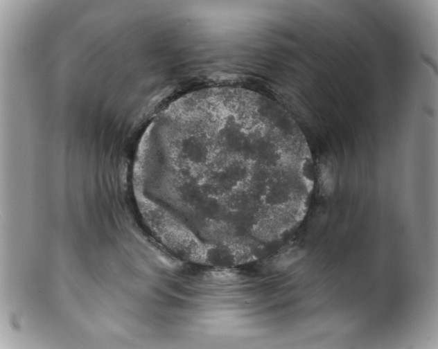 X0000098150668200805151206