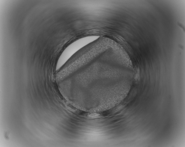 X0000098150669200805151206