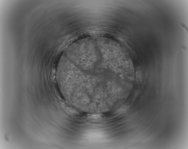 X0000098150671200805151206