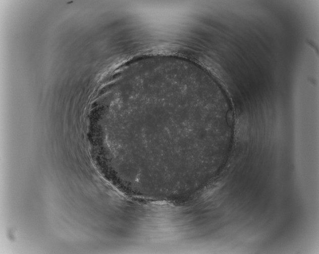 X0000098150673200805151205