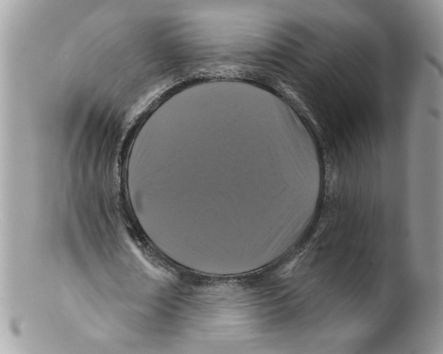 X0000098150674200805151205