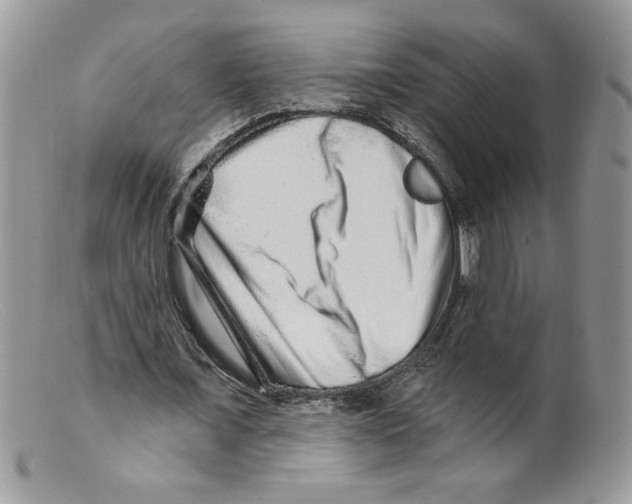 X0000098150675200805151205