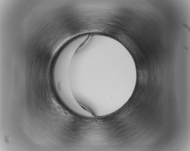 X0000098150676200805151205