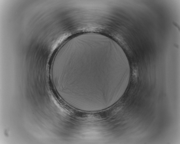 X0000098150678200805151205