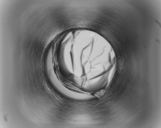 X0000098150680200805151205