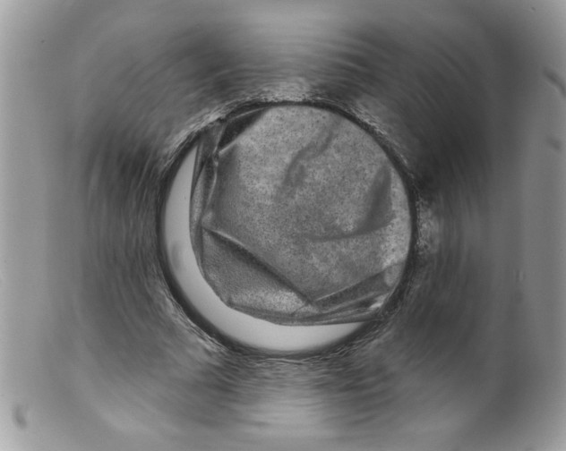 X0000098150681200805151205