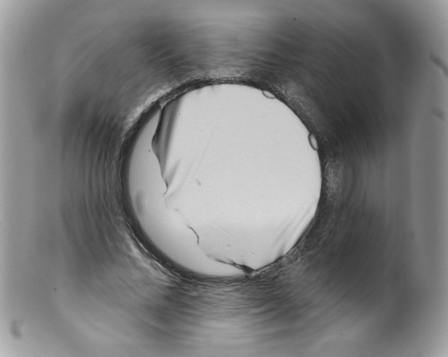X0000098150684200805151205