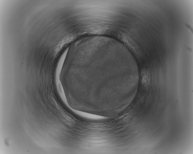 X0000098150685200805151205