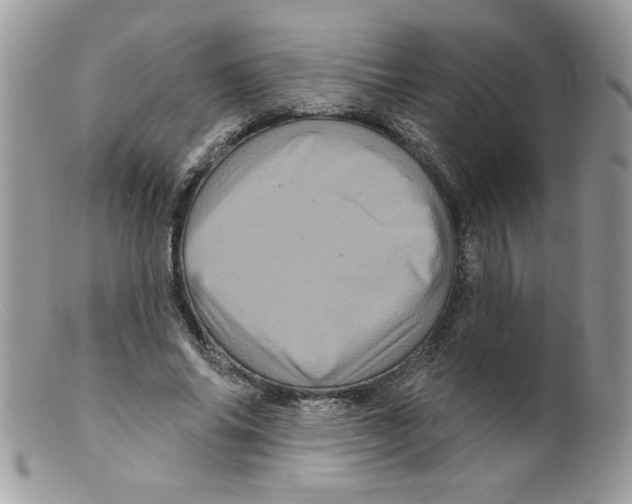 X0000098150686200805151205