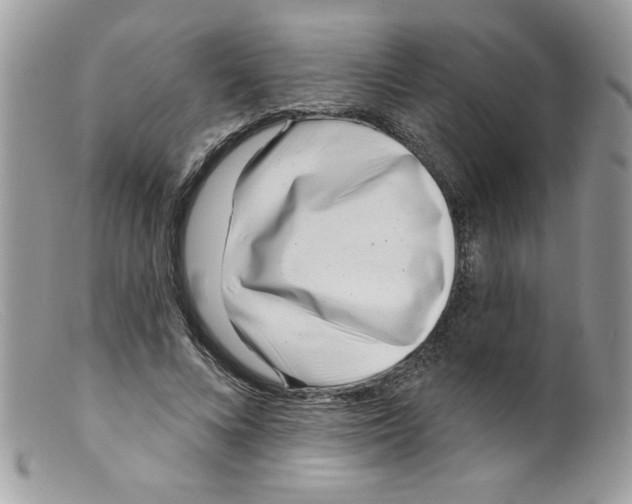 X0000098150688200805151205