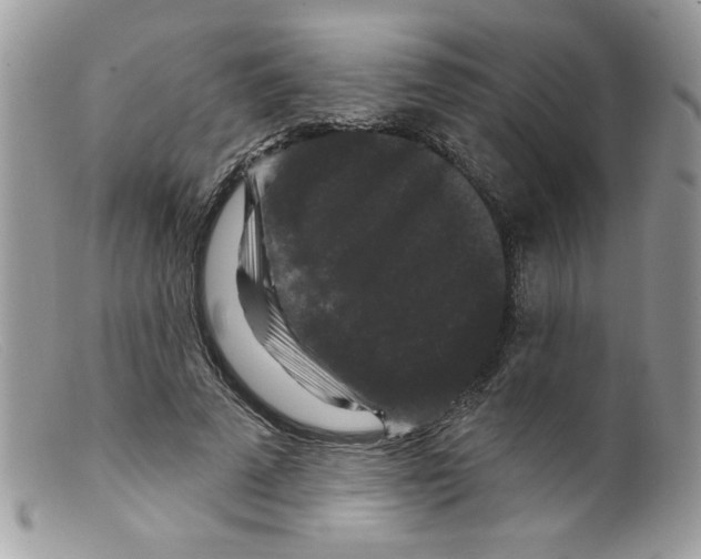 X0000098150689200805151205