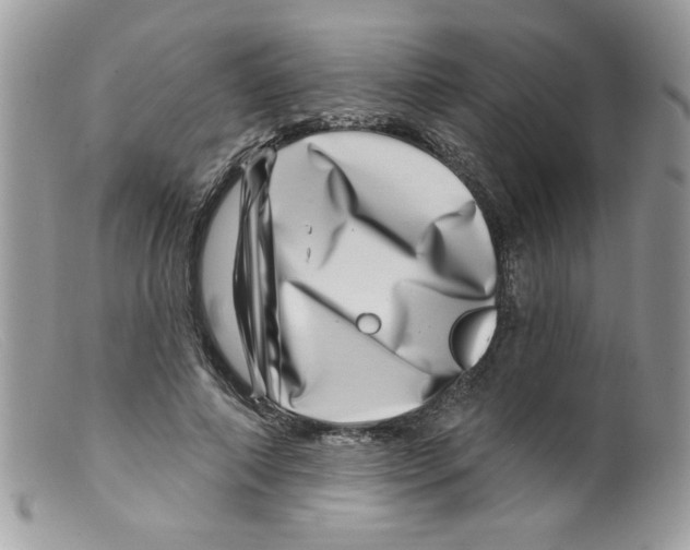 X0000098150690200805151205
