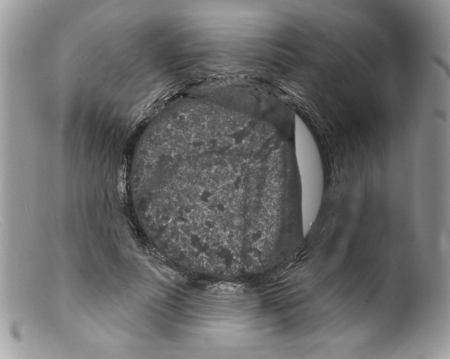 X0000098150691200805151205