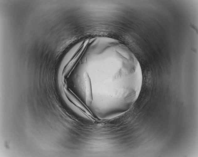X0000098150692200805151205