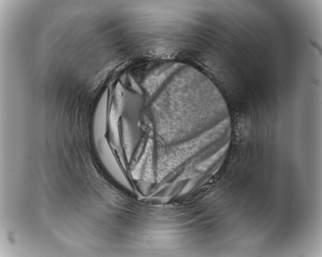 X0000098150693200805151205