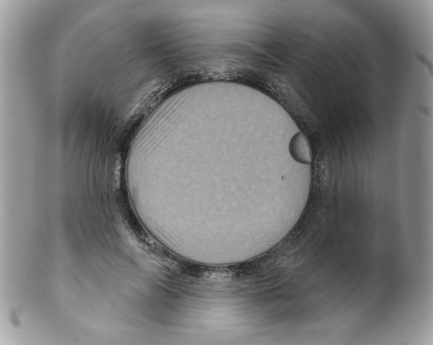 X0000098150694200805151205