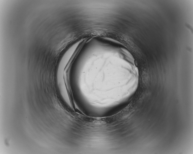 X0000098150696200805151205