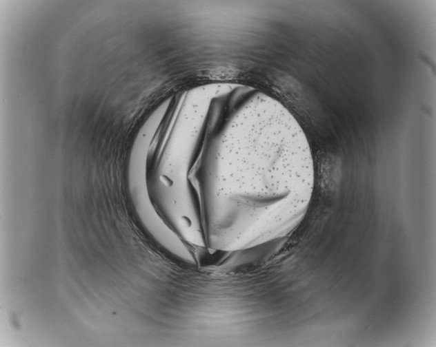 X0000098150697200805151205