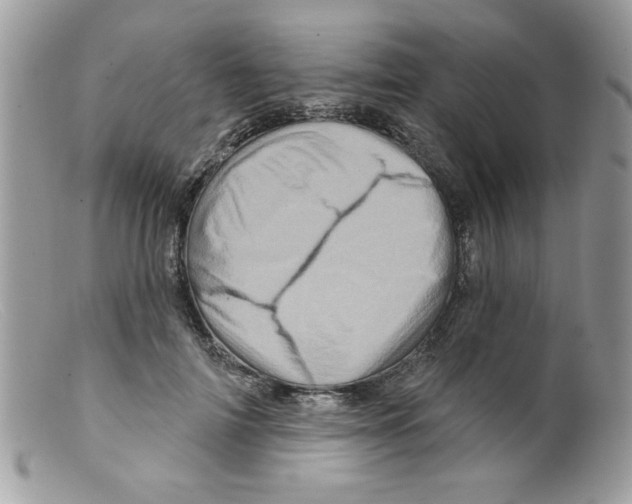 X0000098150698200805151205